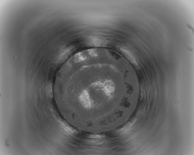 X0000096220453200801251100