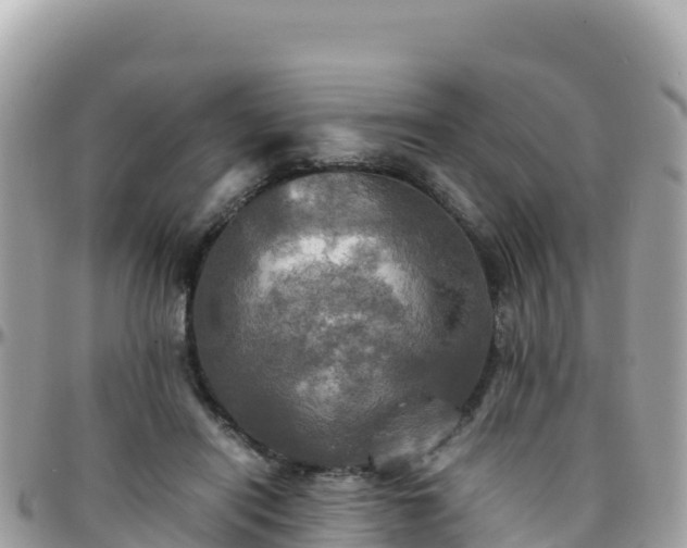 X0000096220454200801251100