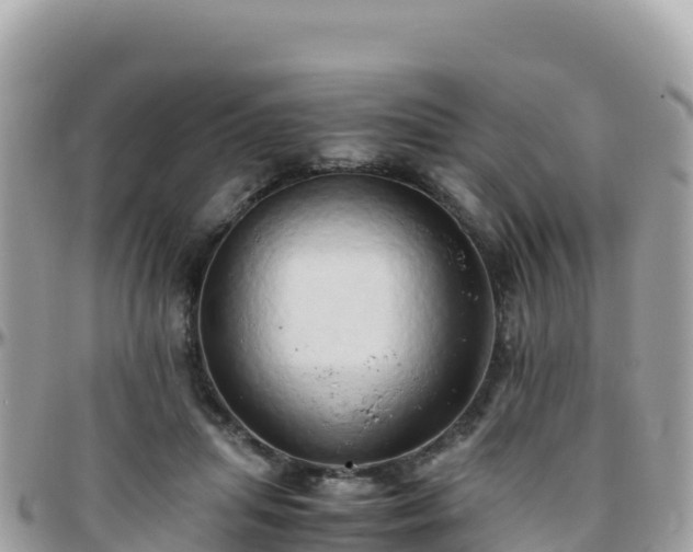 X0000096220455200801251100