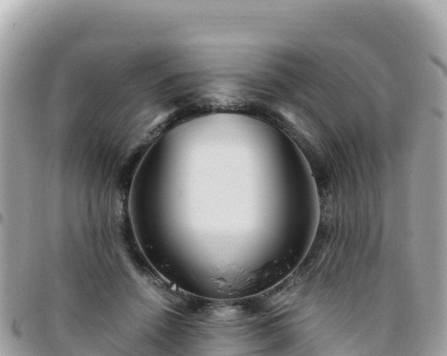 X0000096220456200801251100