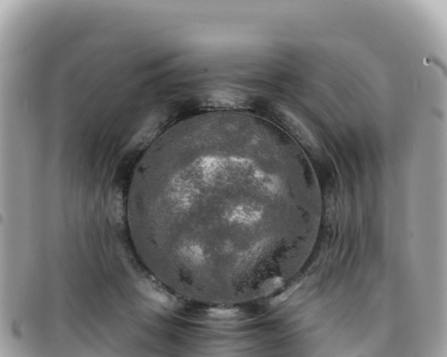 X0000096220457200801251100