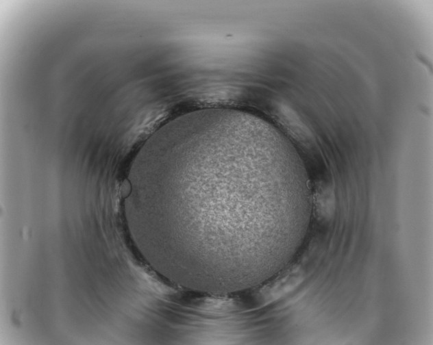 X0000096220458200801251100