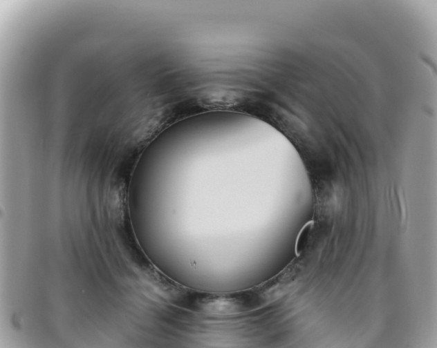 X0000096220460200801251100