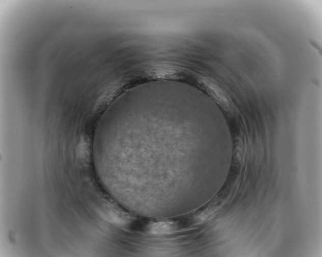 X0000096220461200801251100