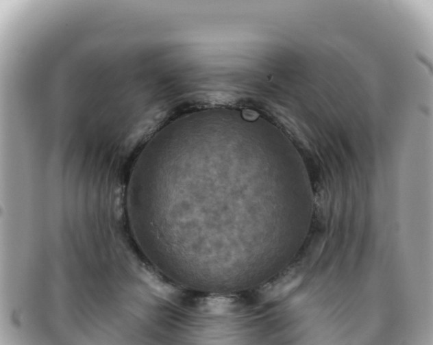 X0000096220462200801251100