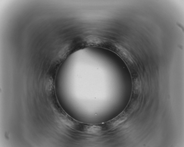 X0000096220463200801251100