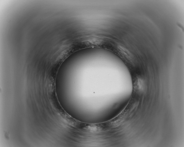 X0000096220464200801251100