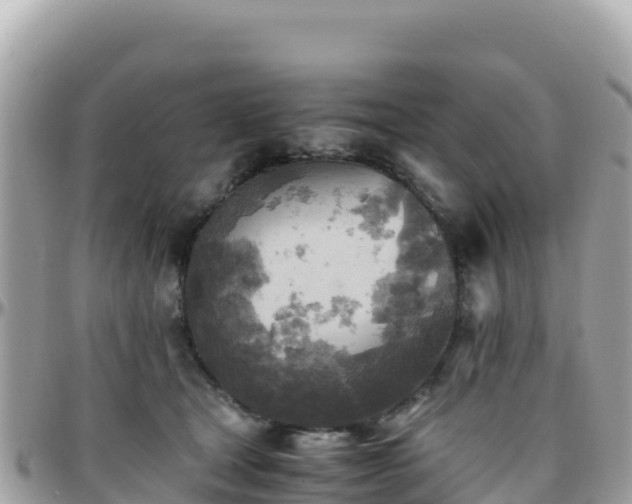 X0000096220465200801251100