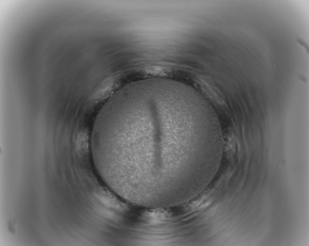 X0000096220466200801251100