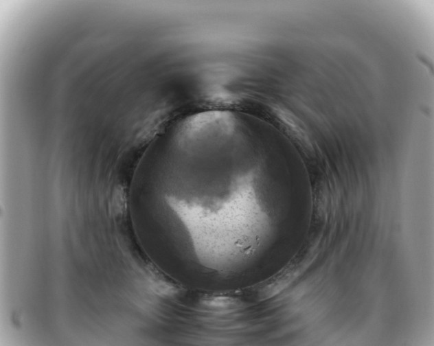 X0000096220467200801251100