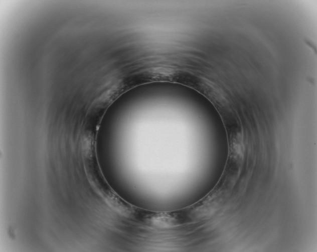 X0000096220468200801251101