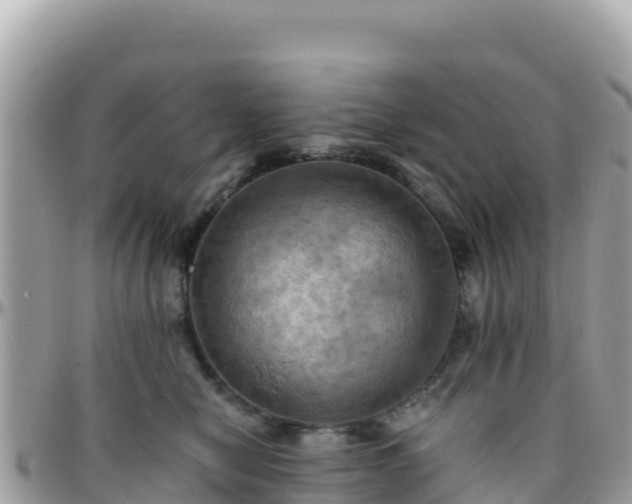 X0000096220470200801251101