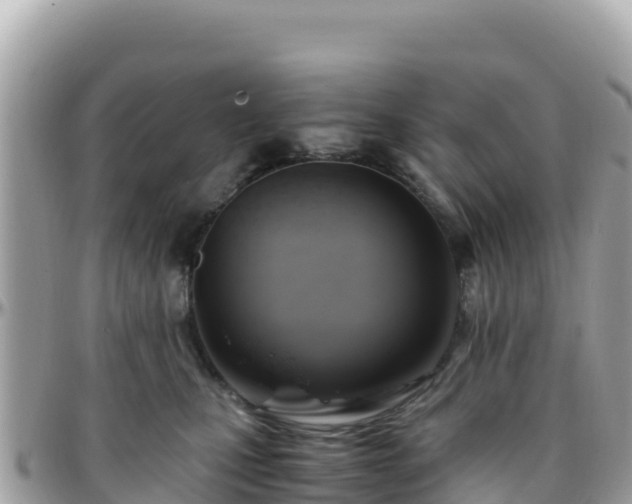 X0000096220471200801251101