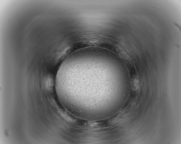 X0000096220472200801251101