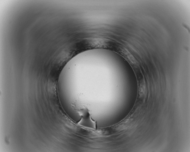 X0000096220473200801251101