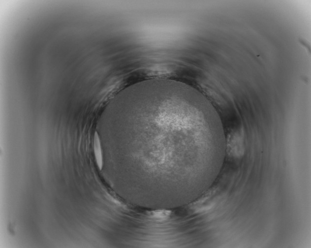 X0000096220474200801251101