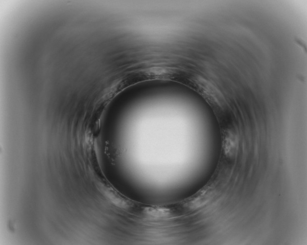 X0000096220476200801251101