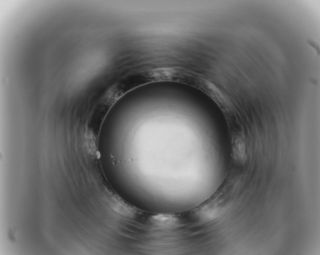 X0000096220477200801251101