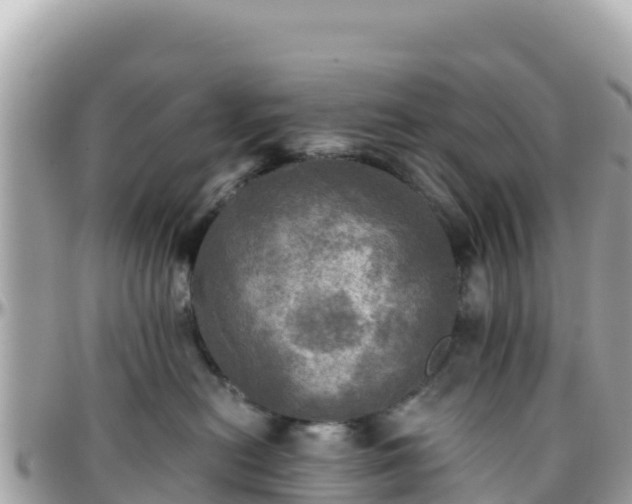 X0000096220478200801251101