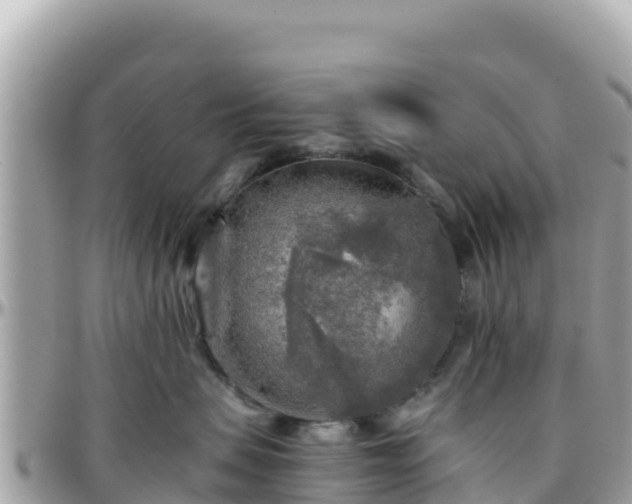 X0000096220479200801251101