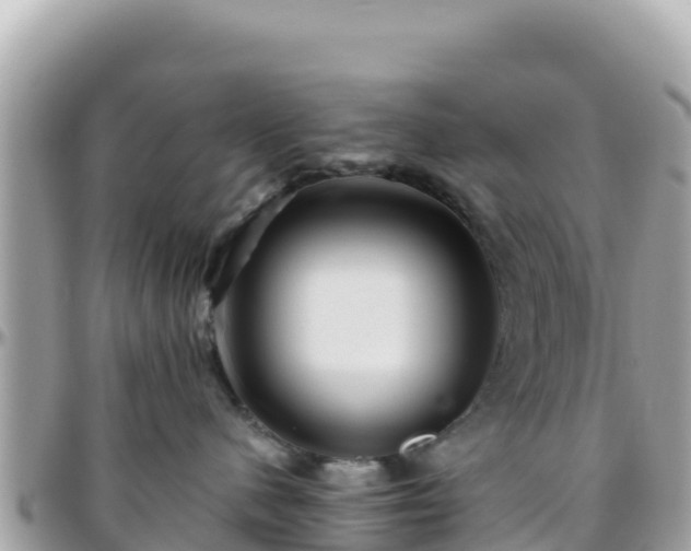 X0000096220480200801251101