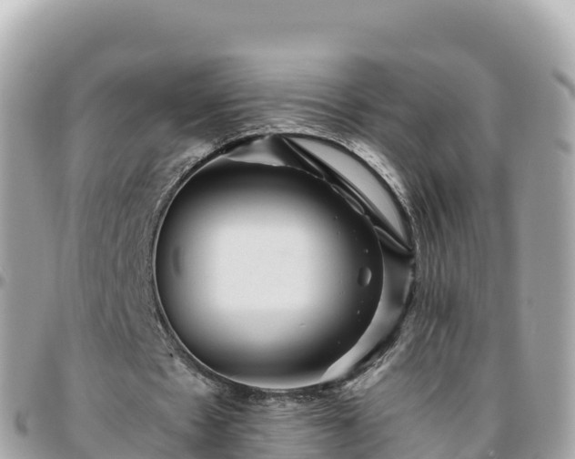 X0000096220481200801251100