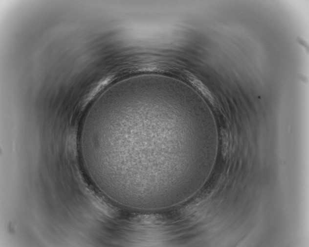 X0000096220482200801251100