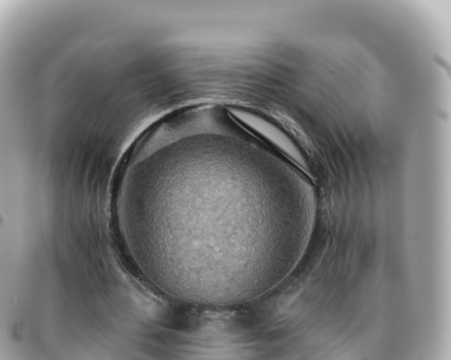 X0000096220484200801251100