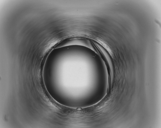 X0000096220485200801251100