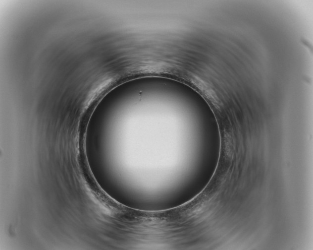 X0000096220486200801251100