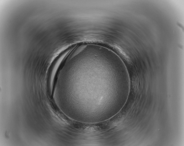 X0000096220488200801251100