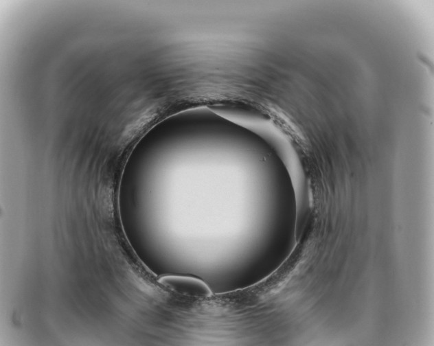 X0000096220489200801251100