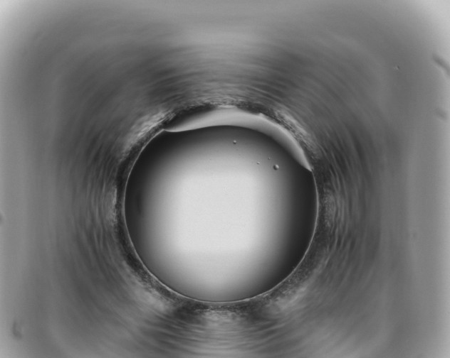 X0000096220490200801251100