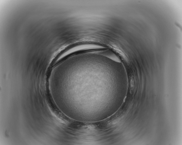 X0000096220492200801251100