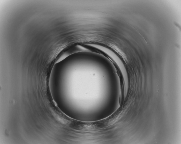 X0000096220493200801251100