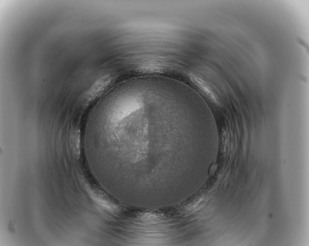 X0000096220494200801251100