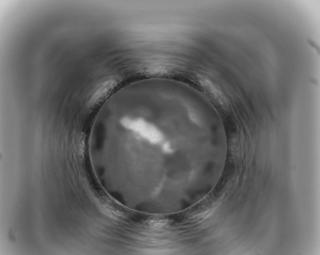 X0000096220495200801251100