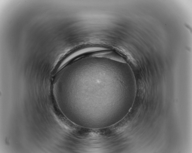 X0000096220496200801251100