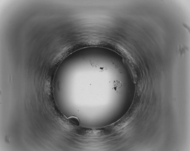 X0000096220497200801251100