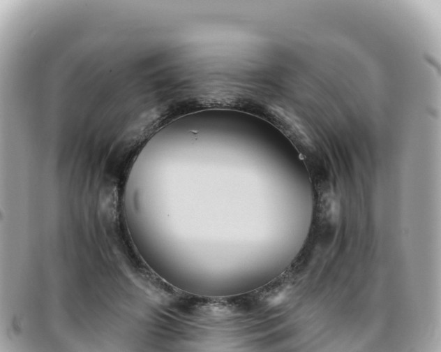 X0000096220498200801251100