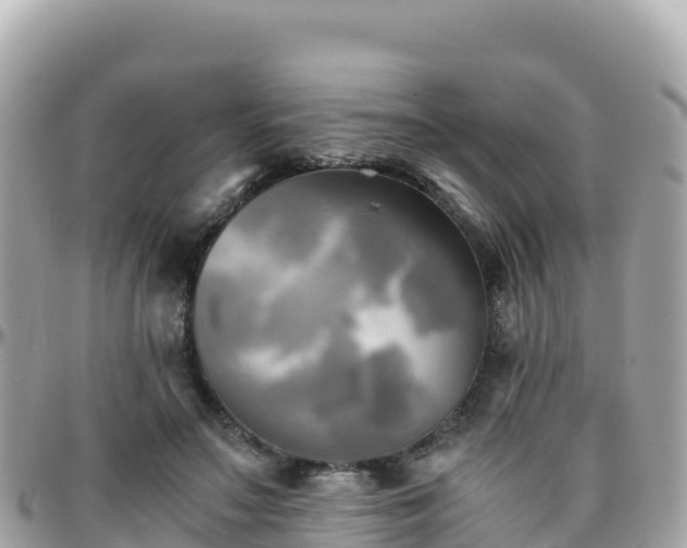 X0000096220499200801251100