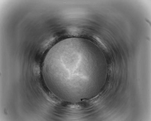 X0000096220500200801251100