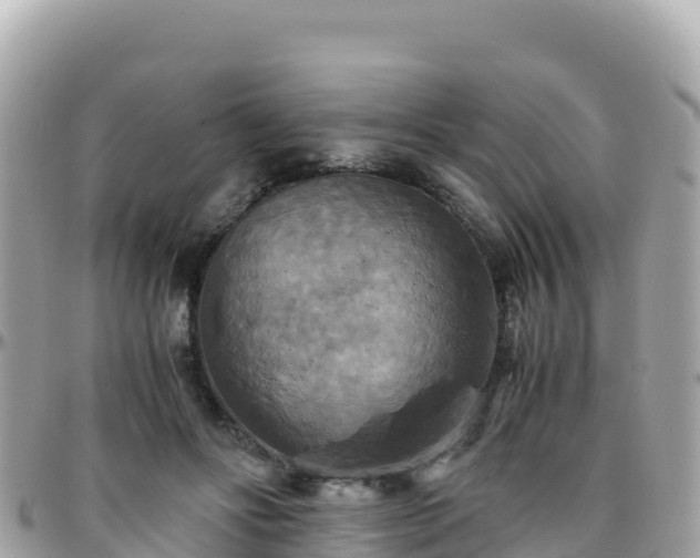 X0000096220502200801251100