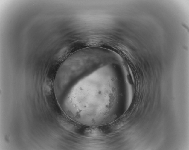 X0000096220503200801251100