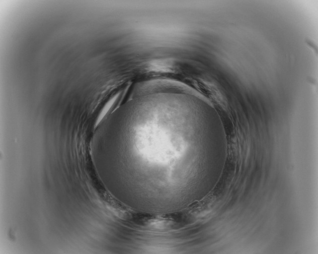 X0000096220504200801251100