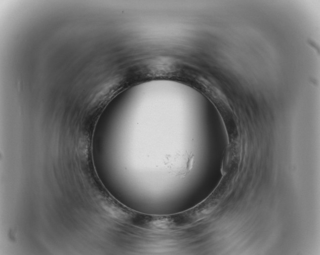 X0000096220505200801251100