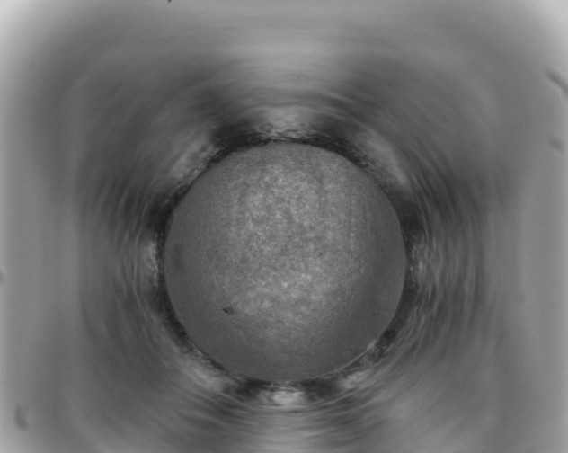 X0000096220506200801251100