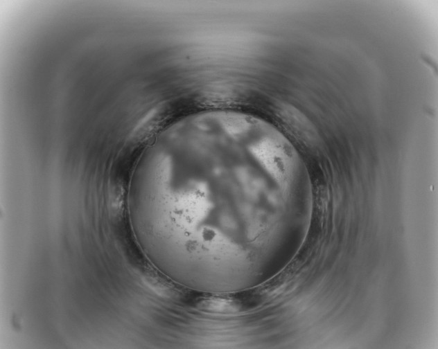 X0000096220507200801251100