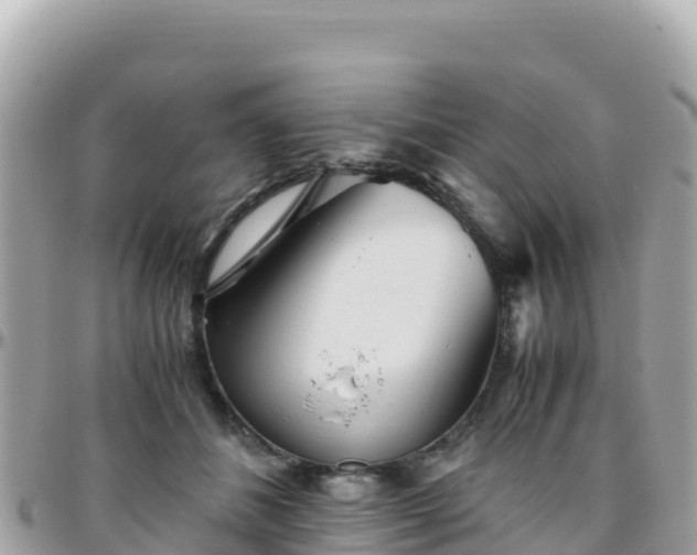 X0000096220508200801251100