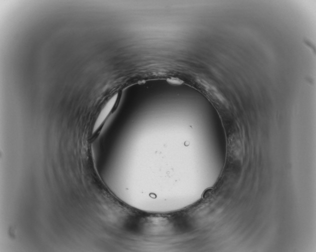 X0000096220509200801251100